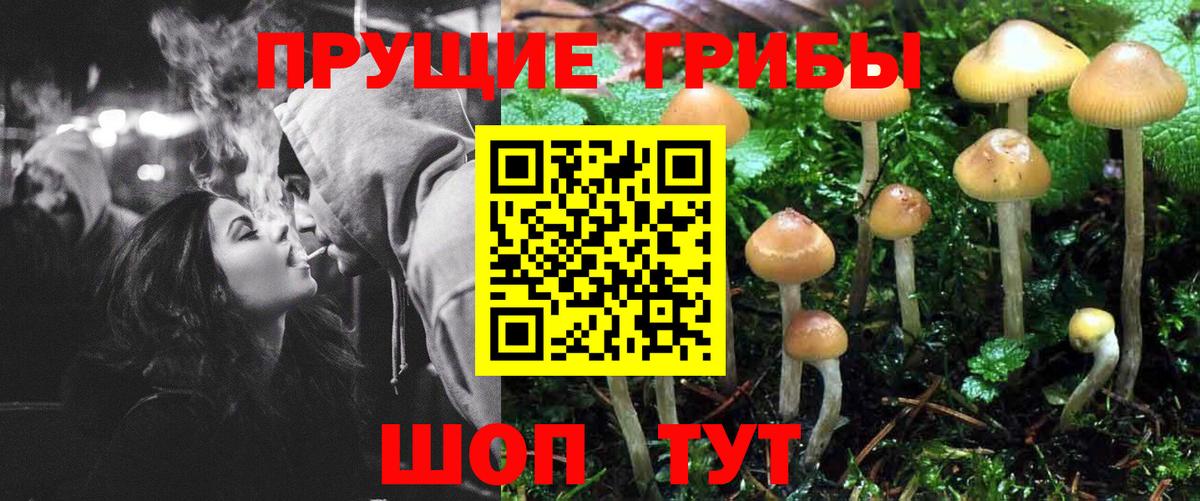 Галлюциногенные грибы Psilocybine cubensis  Галлюциногенные грибы ЛСД  наркотики  Вход с VPN  Черкесск 